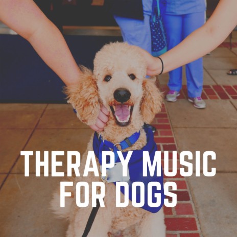 Wagging Tails | Boomplay Music