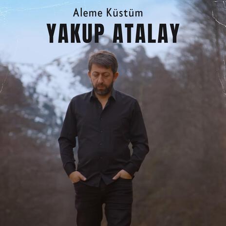 Aleme Küstüm | Boomplay Music