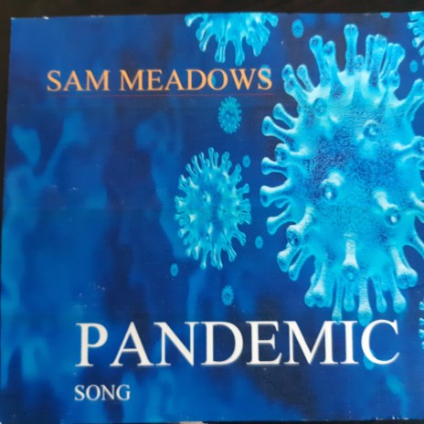 Pandemic Song | Boomplay Music