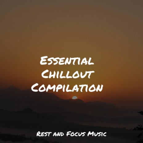 Conscious Meditation | Boomplay Music