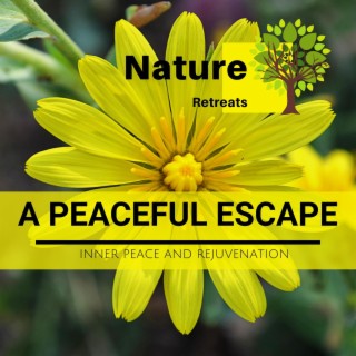 A Peaceful Escape - Inner Peace and Rejuvenation