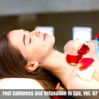 Feel Calmness and Relaxation in Spa, Vol. 07
