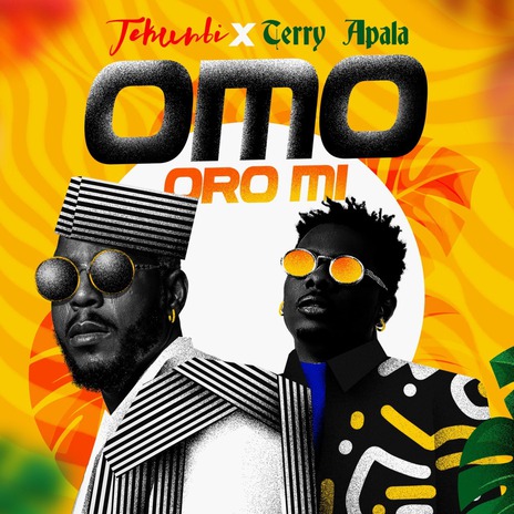 Omo Oro Mi ft. Terry Apala | Boomplay Music