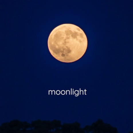 Moonlight | Boomplay Music