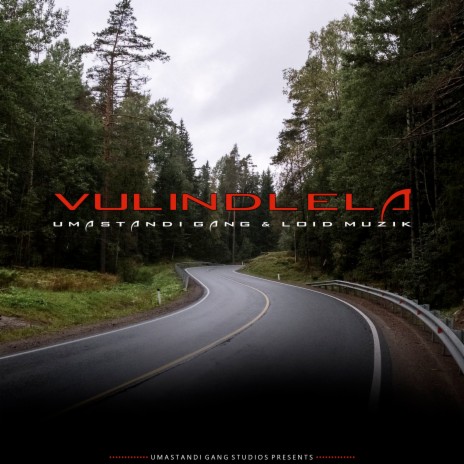 Vulindlela ft. Loid Muzik | Boomplay Music