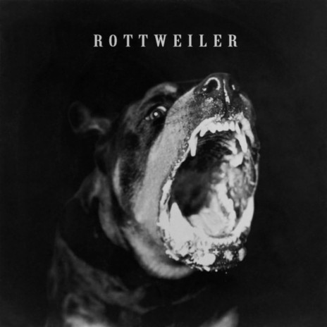 Real Watts Baby ROTTWEILER Jersey Club | Boomplay Music