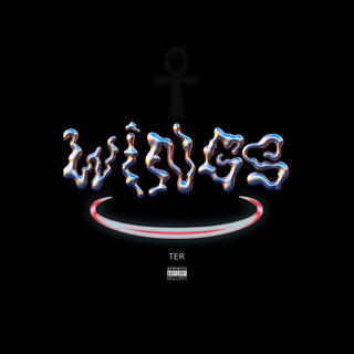 Wings (Interlude 1) 528Hz lyrics | Boomplay Music