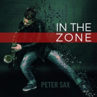 In the Zone (Radio Edit)