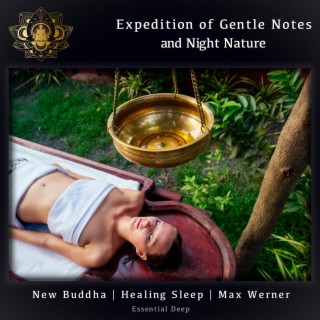 Expedition of Gentle Notes and Night Nature