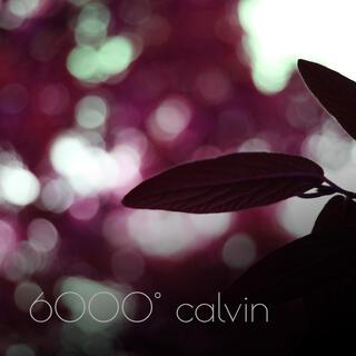 6000° calvin