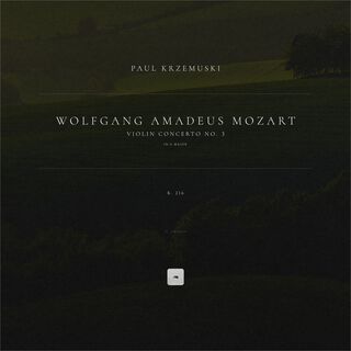 Violin Concerto No. 3 in G Major, K. 216: II. Adagio