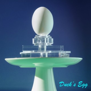 Duck's Egg