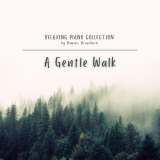 A Gentle Walk