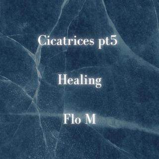 Cicatrices, pt5 - Healing