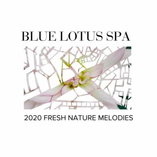 Blue Lotus Spa - 2020 Fresh Nature Melodies