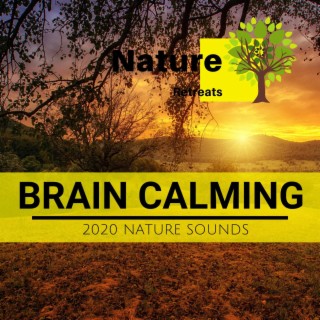 Brain Calming - 2020 Nature Sounds