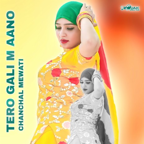 Tero Gali M Aano (Mewati) | Boomplay Music