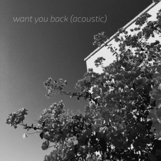 Want You Back (Acoustic) lyrics | Boomplay Music