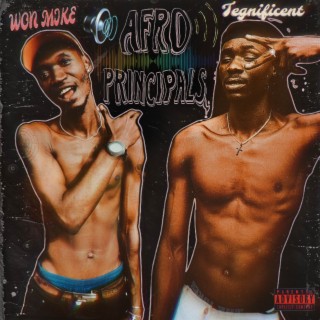 Afro Principals (Mixtape)