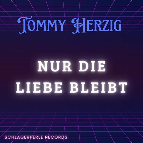 Nur die Liebe bleibt | Boomplay Music