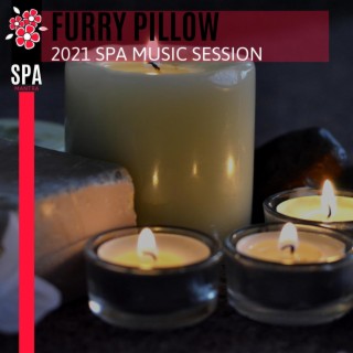 Furry Pillow - 2021 Spa Music Session