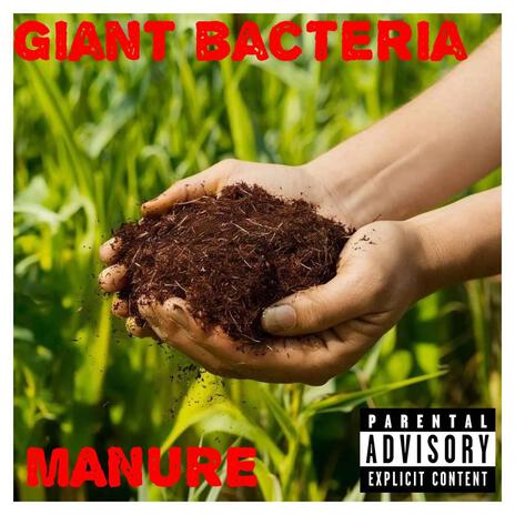 Manure | Boomplay Music