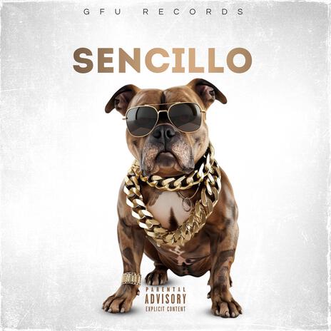 Sencillo | Boomplay Music