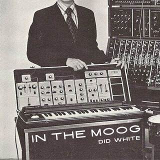 In the Moog