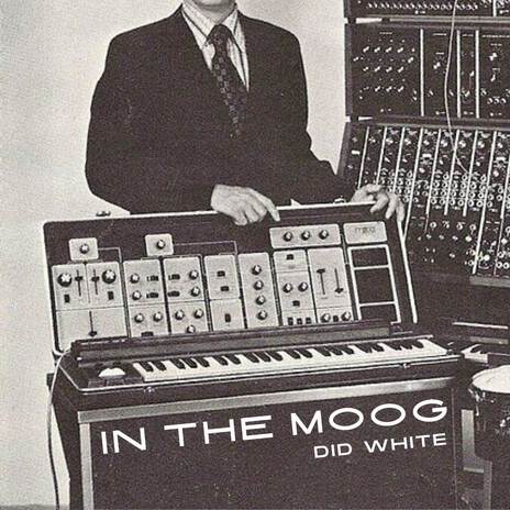 In the Moog | Boomplay Music