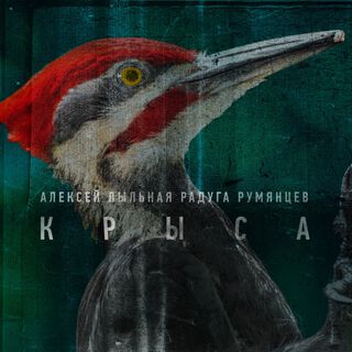 Крыса