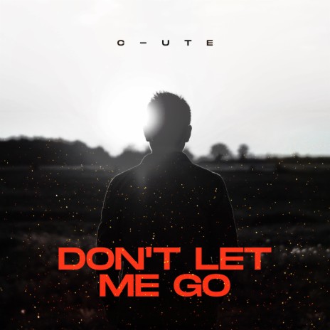 Don't Let Me Go | Boomplay Music