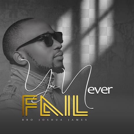 You Never Fail | Boomplay Music