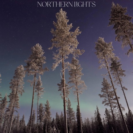 Northern Lights | Boomplay Music