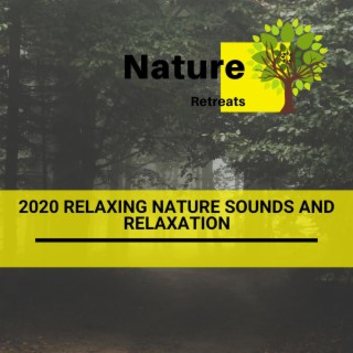 2020 Relaxing Nature Sounds and Relaxation