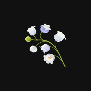 Lily of The Valley lyrics | Boomplay Music