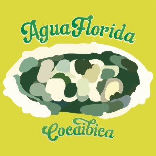 Agua Florida