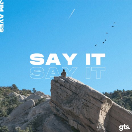 Say It | Boomplay Music