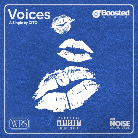 Voices | Boomplay Music