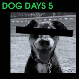 Dog Days 5