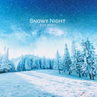 Snowy Night