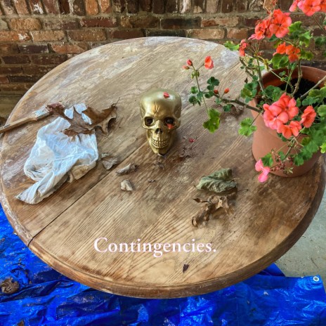 Contingencies (Single Version)