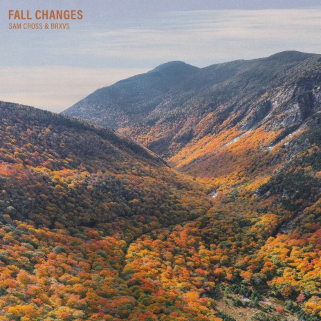 Fall Changes ft. Brxvs | Boomplay Music