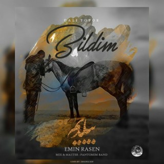 Bildim