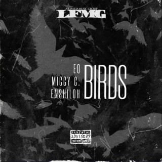 BIRDS ft. Miggy C. & Enshiloh lyrics | Boomplay Music