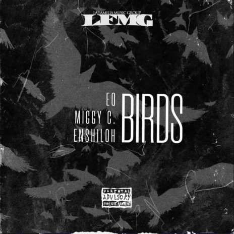 BIRDS ft. Miggy C. & Enshiloh | Boomplay Music