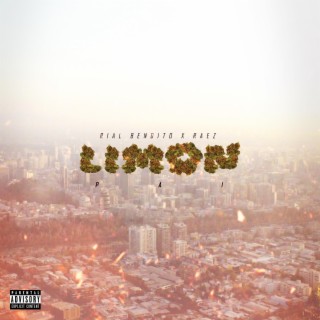 LIMON PAI ft. Raez Wonder lyrics | Boomplay Music