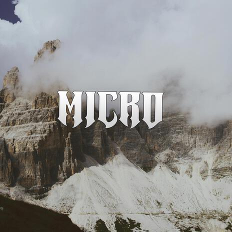 Micro