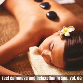 Feel Calmness and Relaxation in Spa, Vol. 06