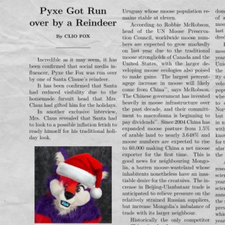 Pyxe Got Run over by a Reindeer