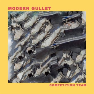 Modern Gullet